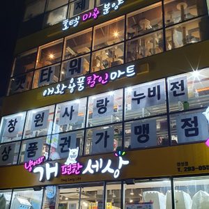 냥이와 개편한세상