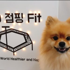 3go점핑Fit