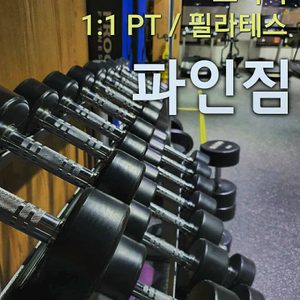 파인짐