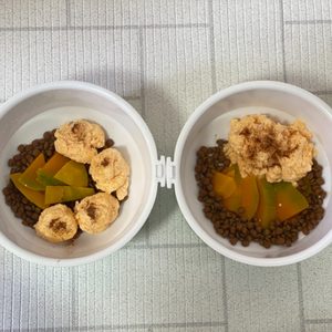 토고네 강아지 수재음식점