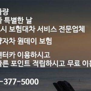 오산 도일렌트카