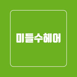 미들수헤어
