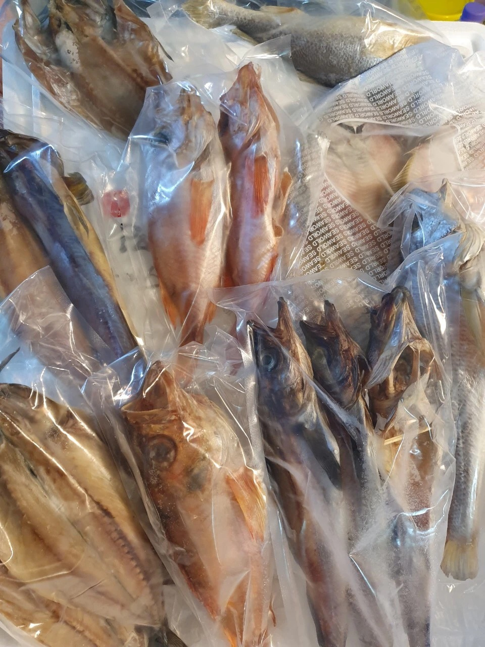 청년일꾼