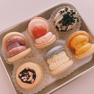 스프링송 마카롱