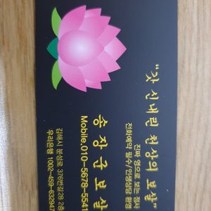 별상장군