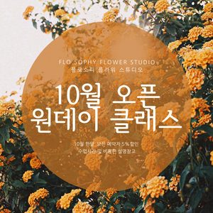 플로소피