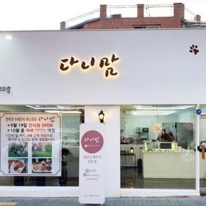 다니맘
