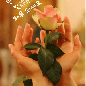 총알탄대리운전