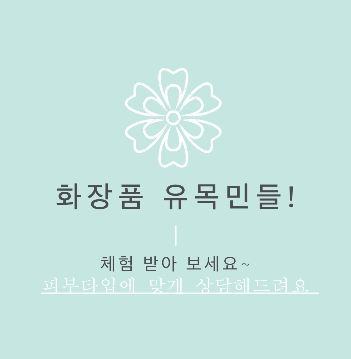 피부관리 다이어트 수정언니의홈뷰티
