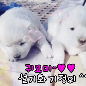 백순이농장
