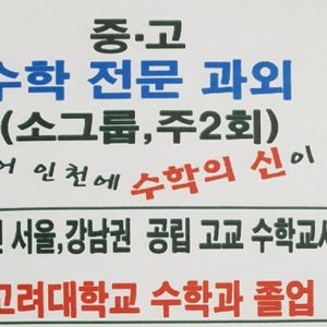 중,고수학 소그룹 과외
