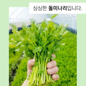범이농장