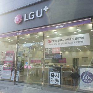 LGU세인컴퍼니