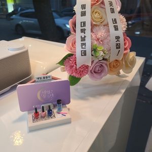 네일,물들다