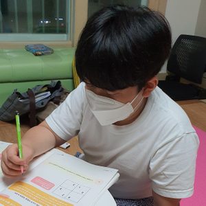 다비수