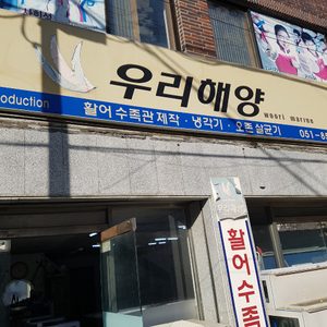 우리해양수족관