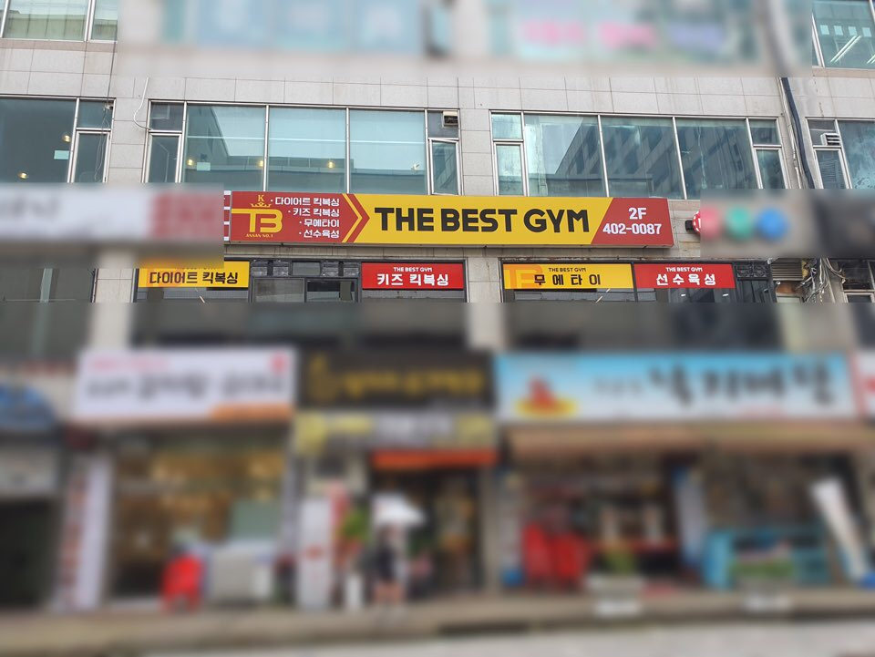 더베스트 킥복싱