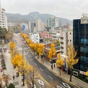 화실 아가화