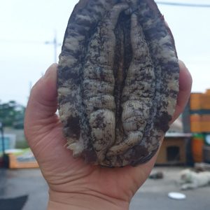 황제수산