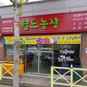 월드농장