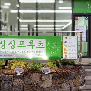 싱싱프루츠