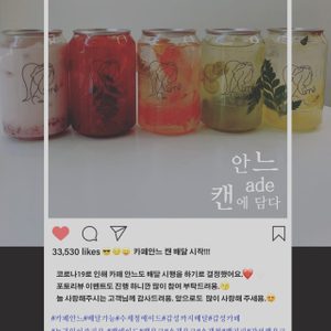 카페안느