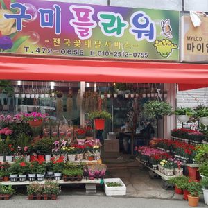 구미플라워