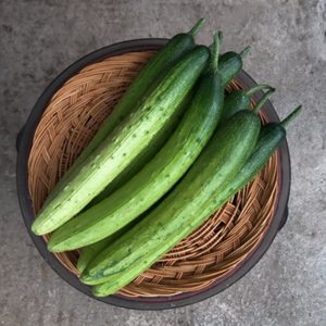 청년이그린협동조합
