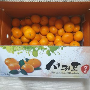 찌니네깡지