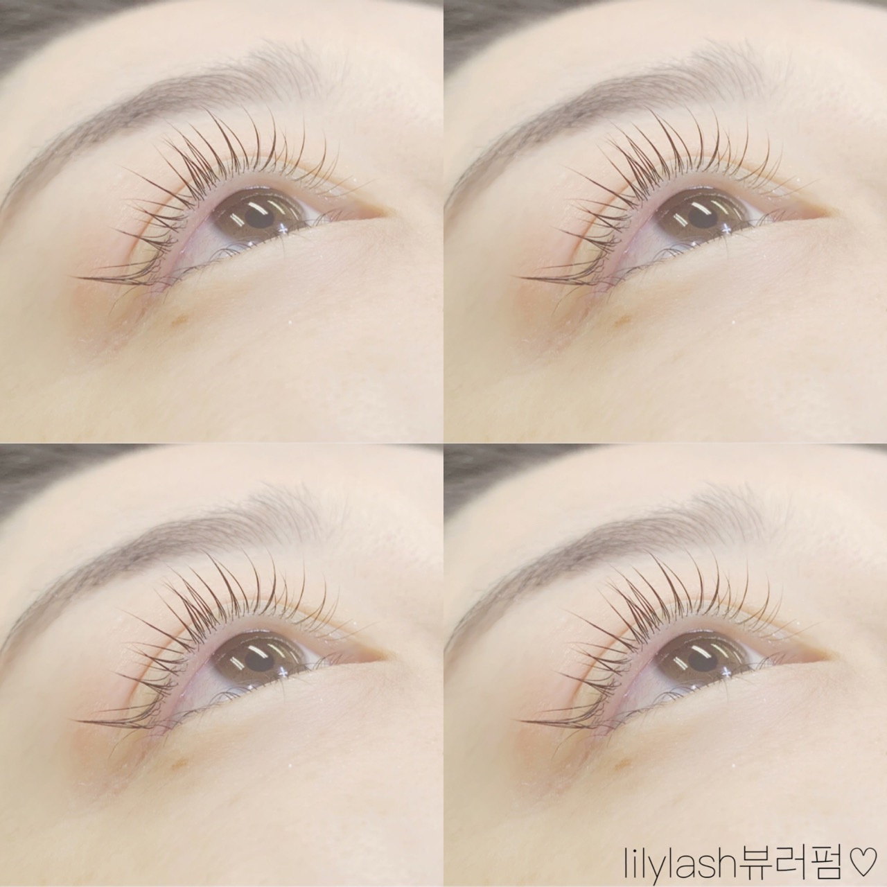 릴리래쉬 속눈썹연장