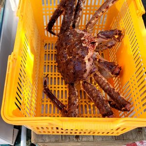 (주)미사왕크랩