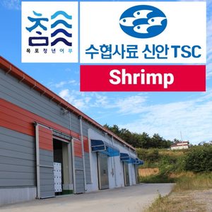 목포청년어부