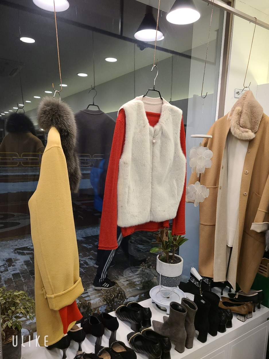 제니스타일