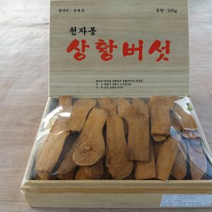 천자봉 농원