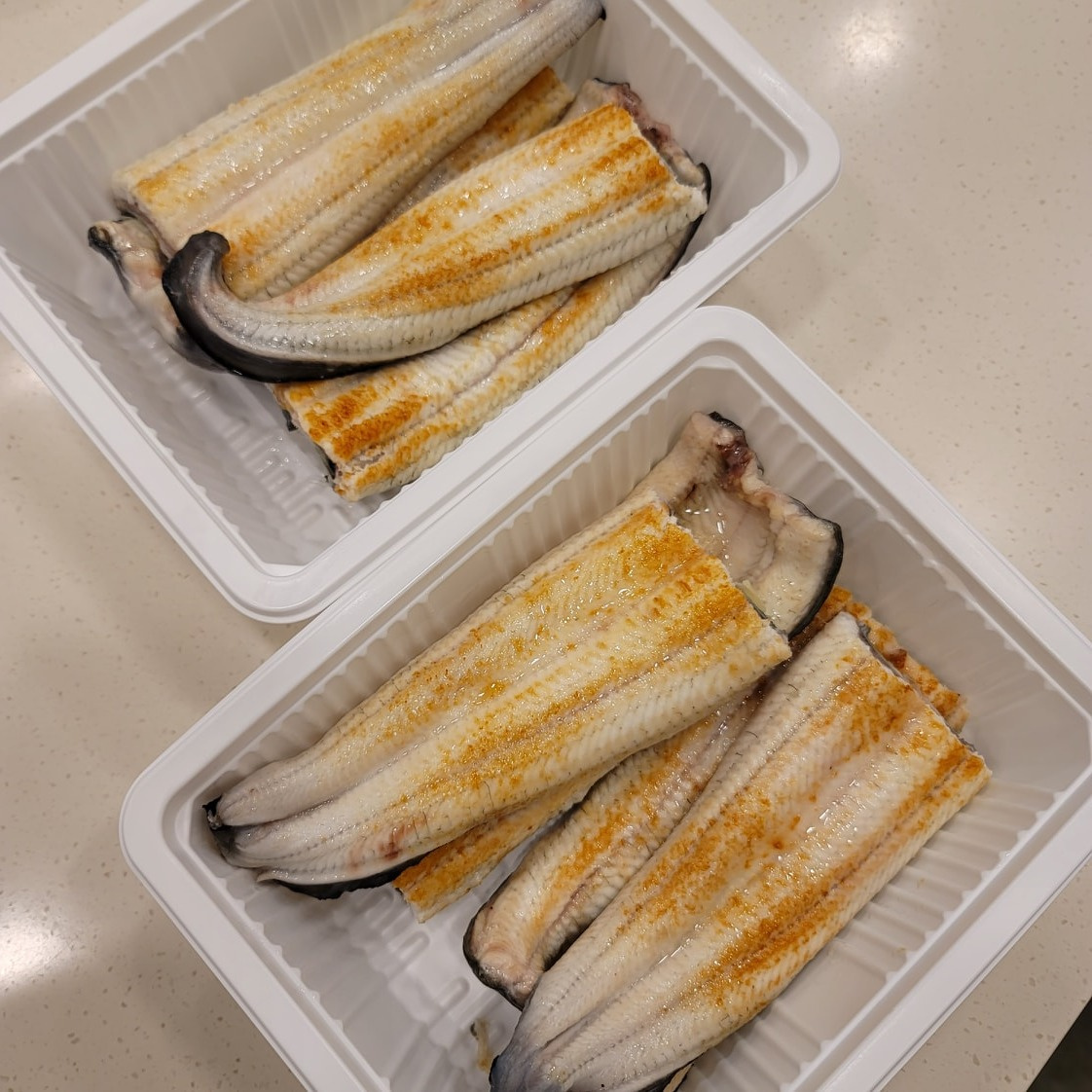 이삼장어