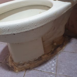 홈닥터119