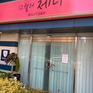 12월의제니
