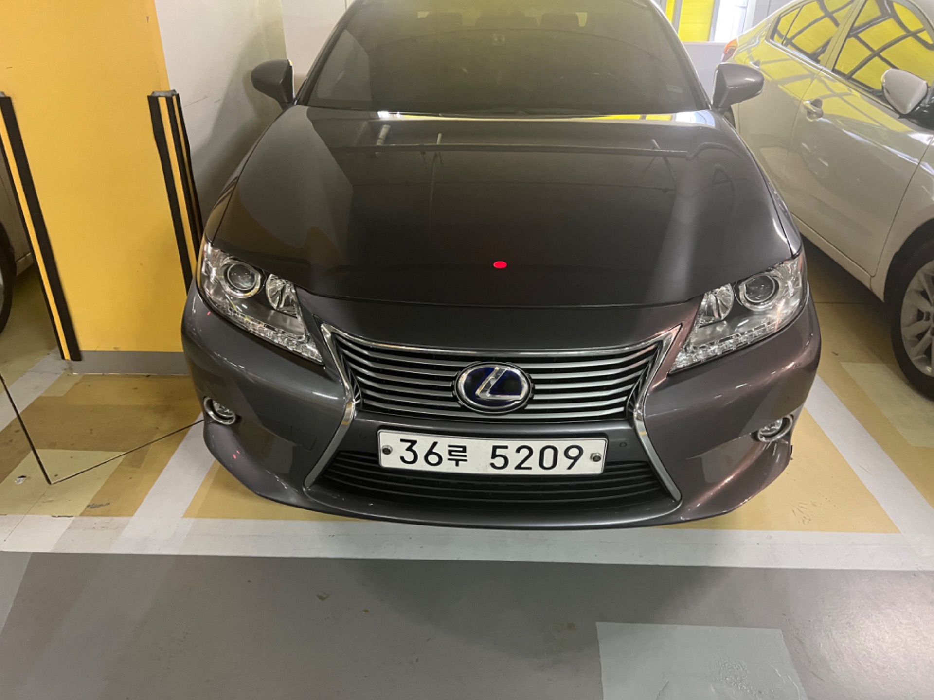 ES XV60 ES300h 슈프림 매물 썸네일