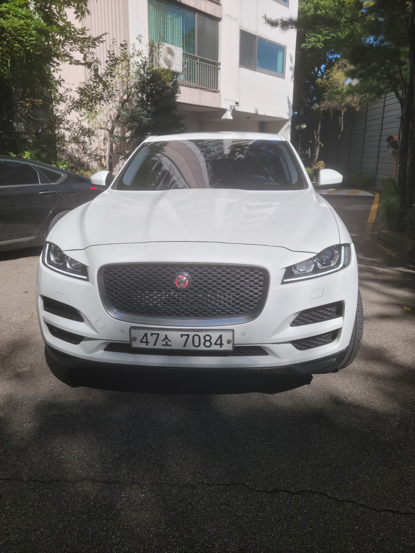 F-PACE X761 20d AWD 매물 썸네일