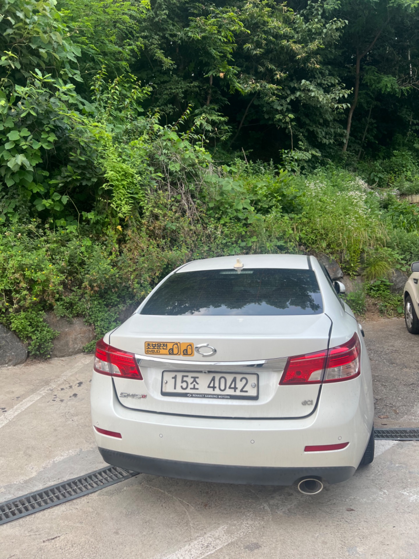 뉴 SM5 플래티넘 L43 1.5 dCi 매물 썸네일