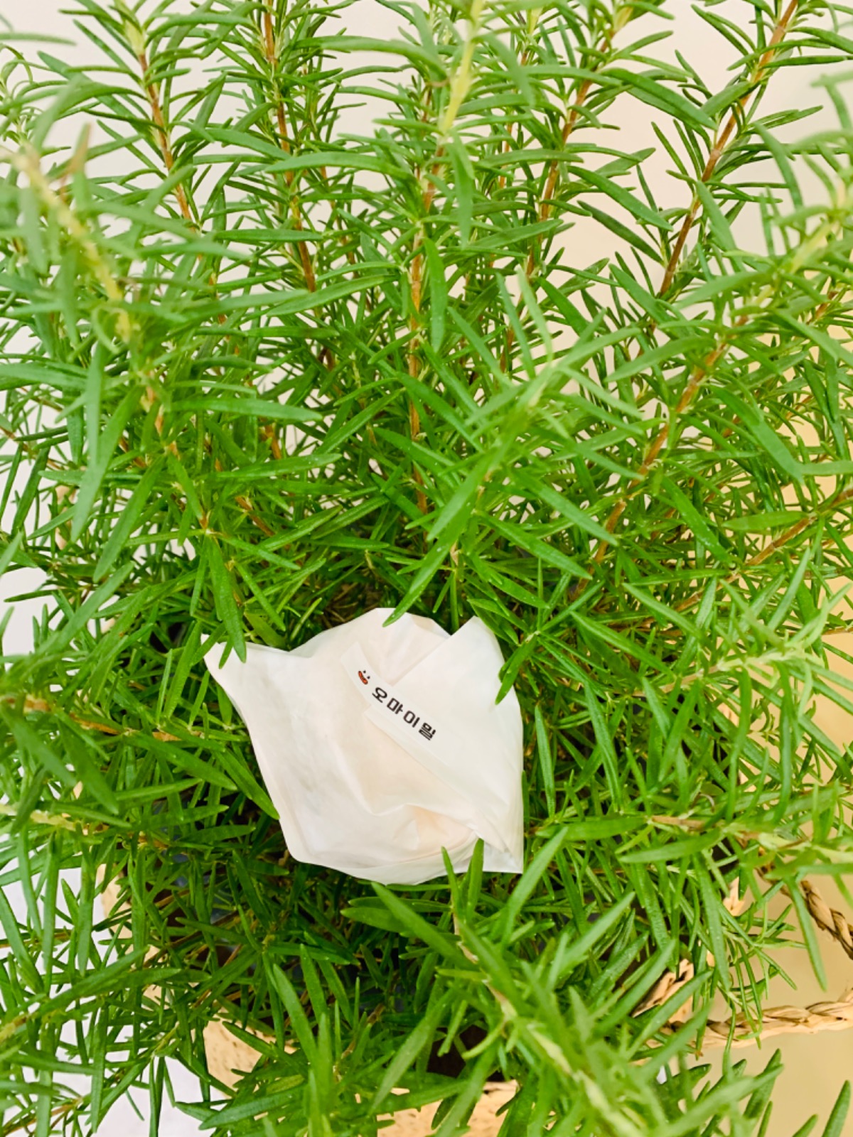 오마이밀(ohmymill) picture 8