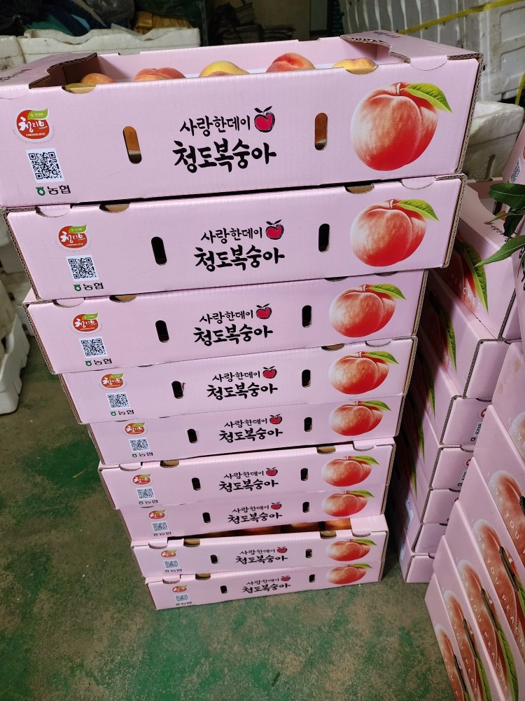 (농장직거래) 청도 복숭아 4키로 백도 딱딱이 황도 천도 상품 썸네일