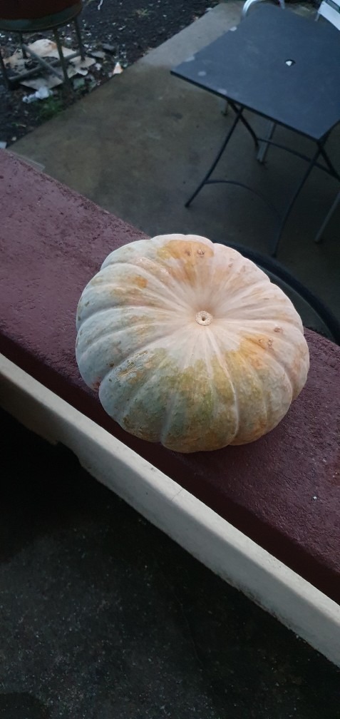 자연한잔 picture 8