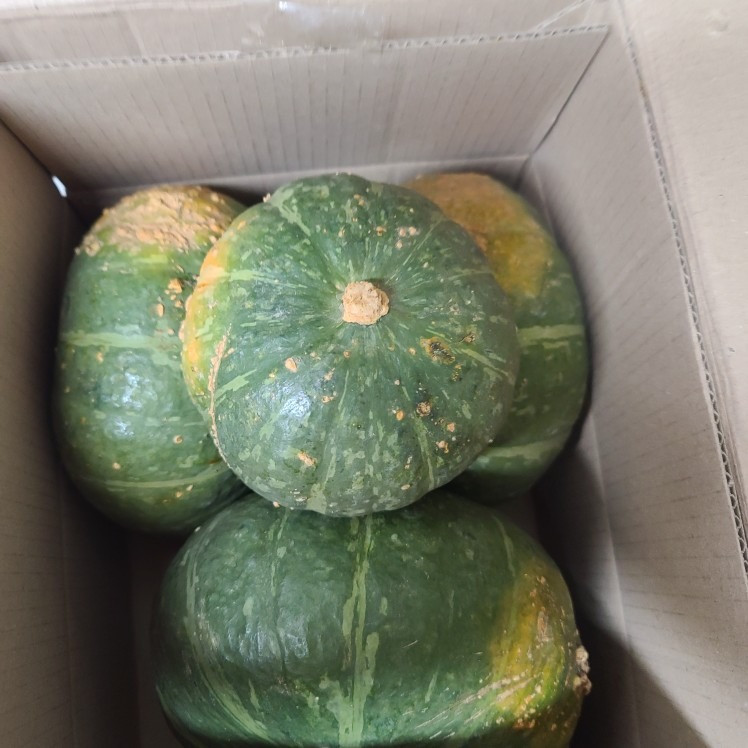 자연한잔 picture 9