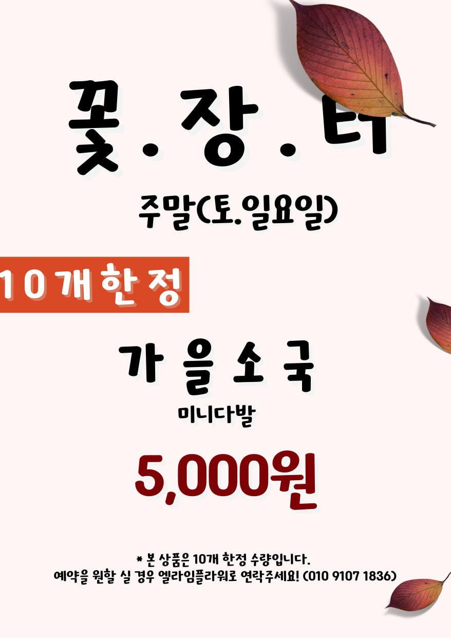 가을소국 상품 썸네일