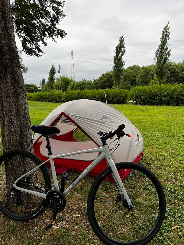 하이브리드 / 미니벨로 / 따릉이 자전거🚲 앨범 사진