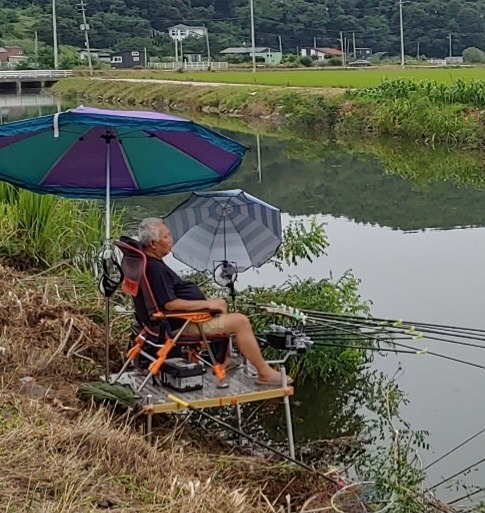 붕어낚시 앨범 사진