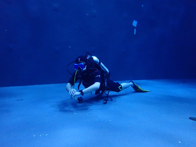PEAK DIVE 앨범 사진