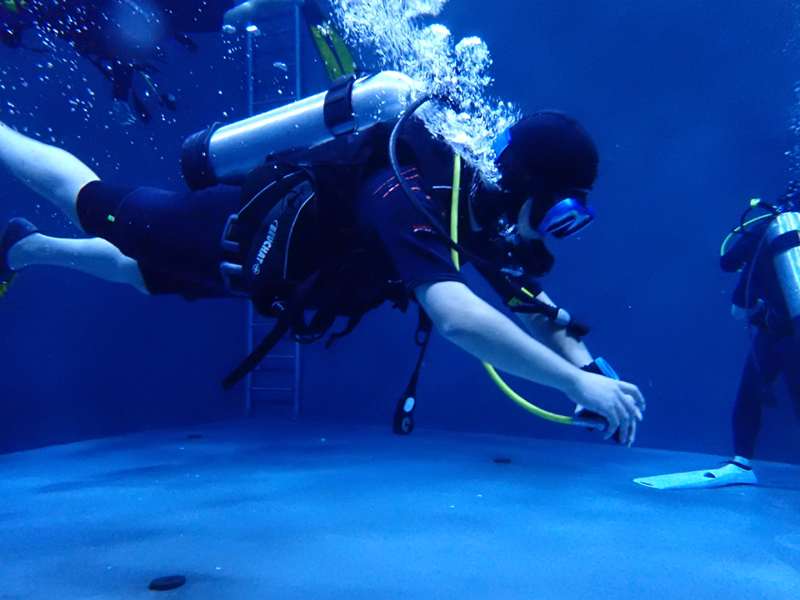 PEAK DIVE 앨범 사진
