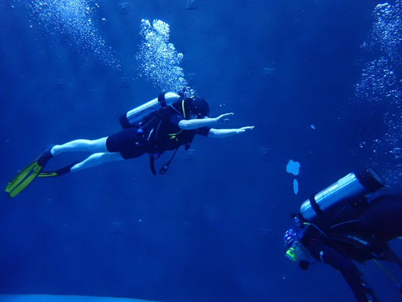 PEAK DIVE 앨범 사진